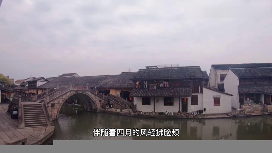 救援小蝙蝠